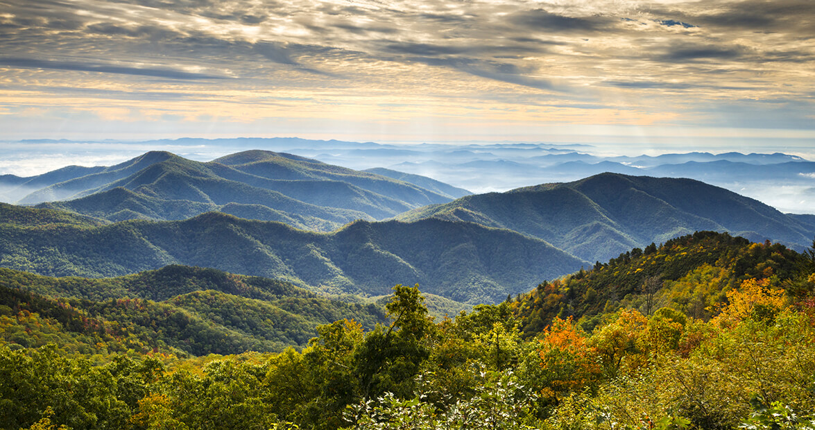 Moon and Mountain Spice Company